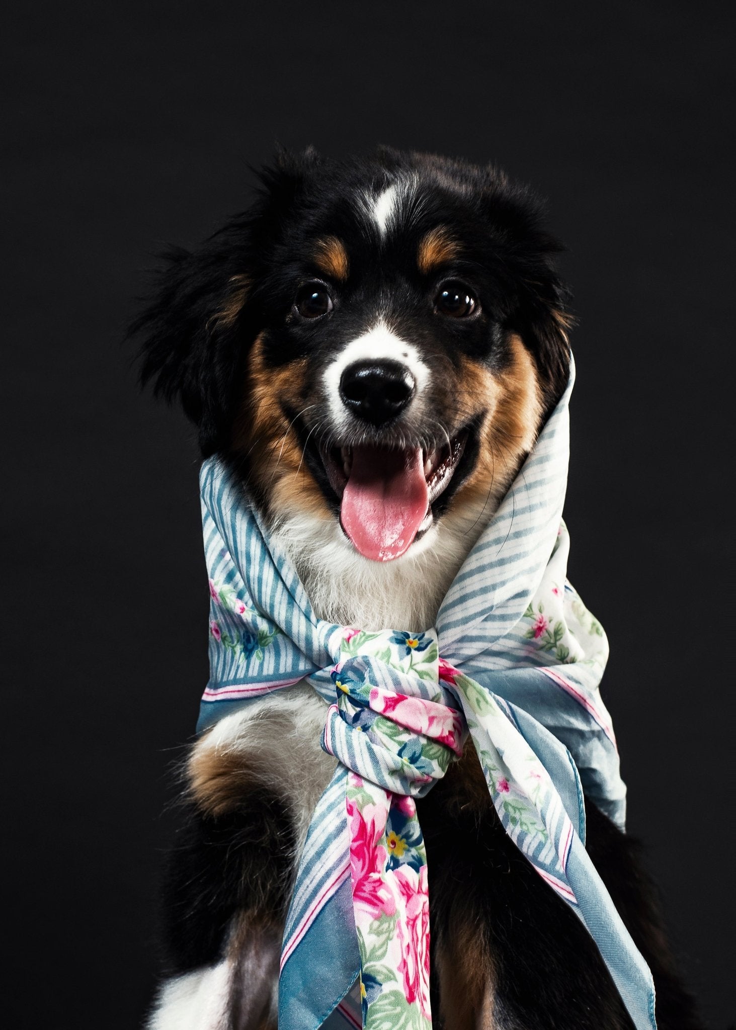 Tips for Grooming Pets with Sensitive Skin - FurBabies™ Botanicals