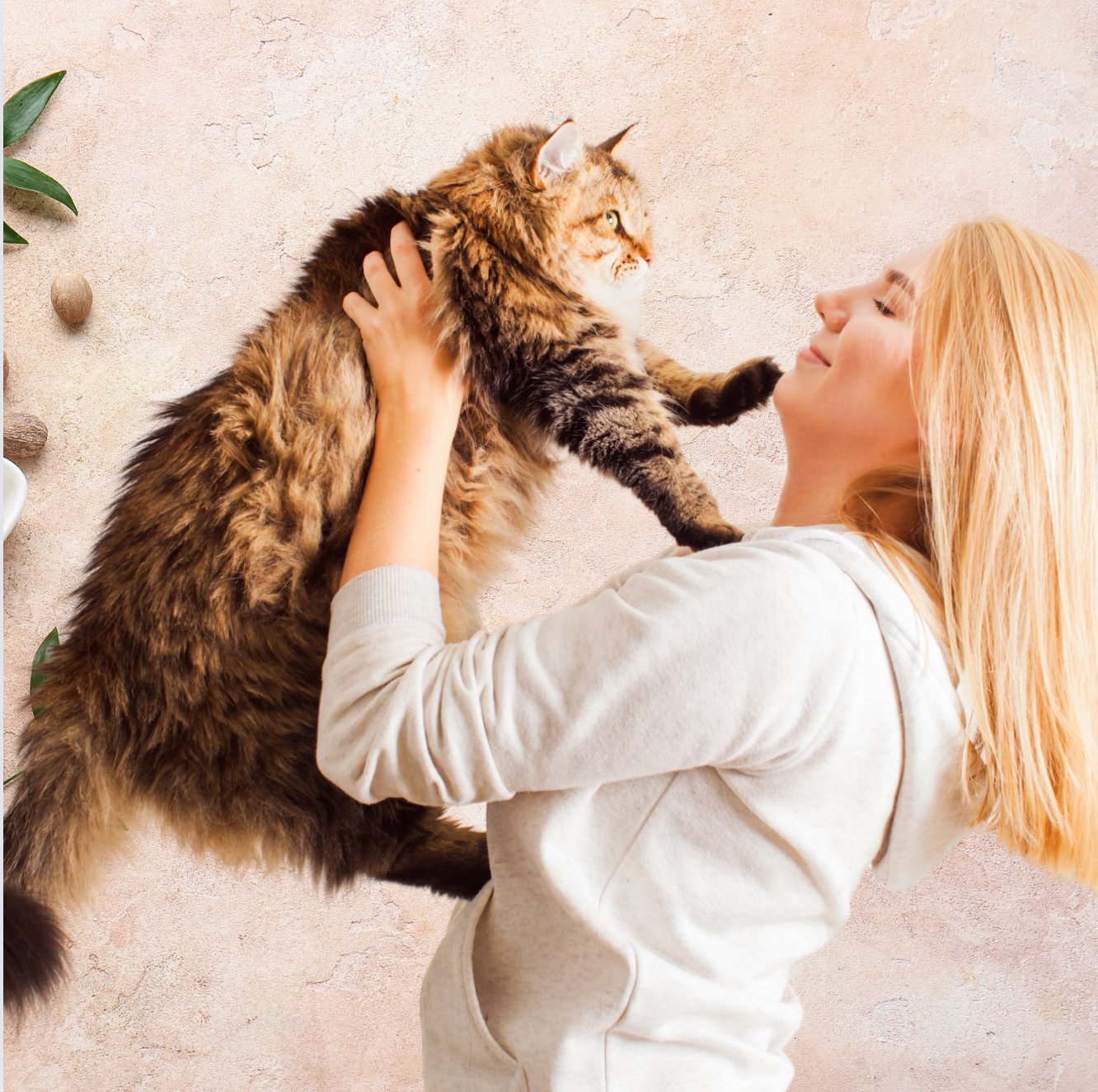Washing Fleas off Cats - FurBabies™ Botanicals