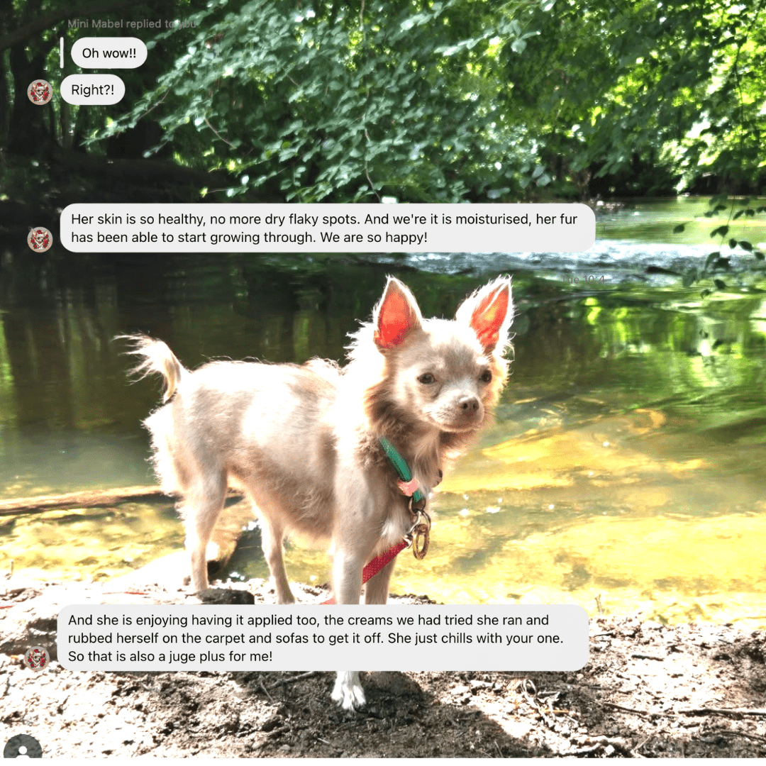 DERMARENEW ITCHY DOG SKIN & COAT REPAIR SERUM (50ml) - FurBabies™ Botanicals