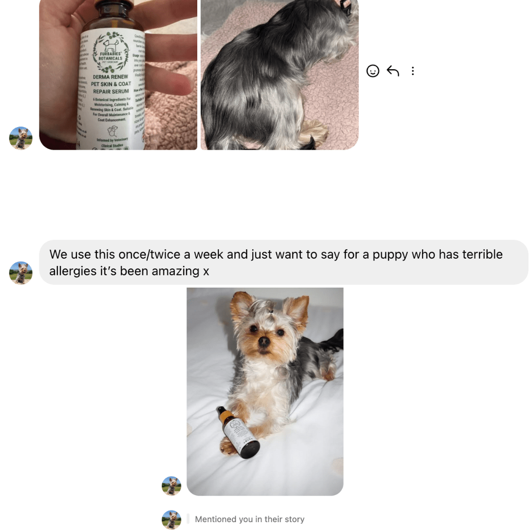 DERMARENEW ITCHY DOG SKIN & COAT REPAIR SERUM (50ml) - FurBabies™ Botanicals
