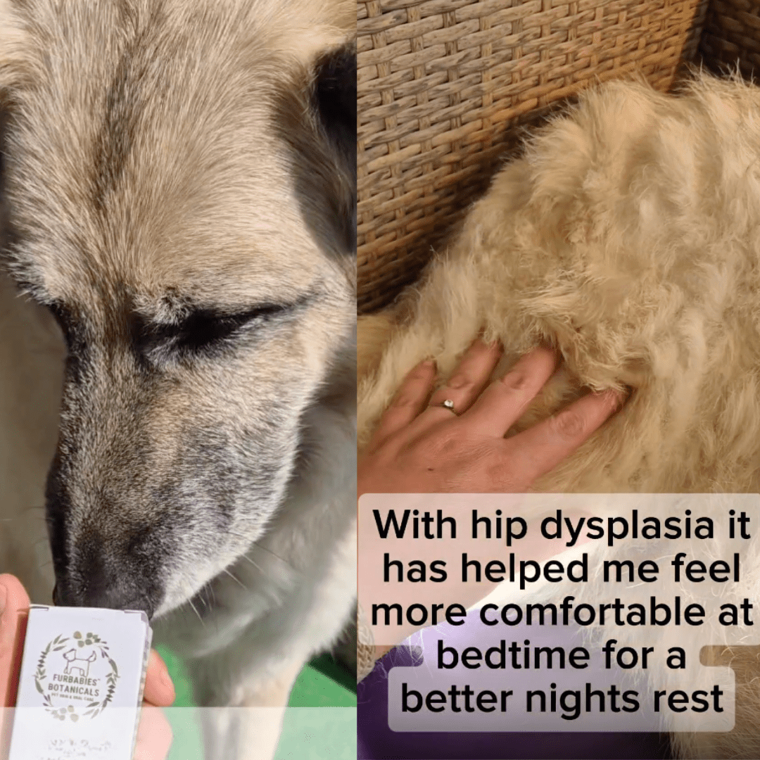 DOG & CAT JOINT & MUSCLE RELIEF RUB (50 ml) - FurBabies™ Botanicals