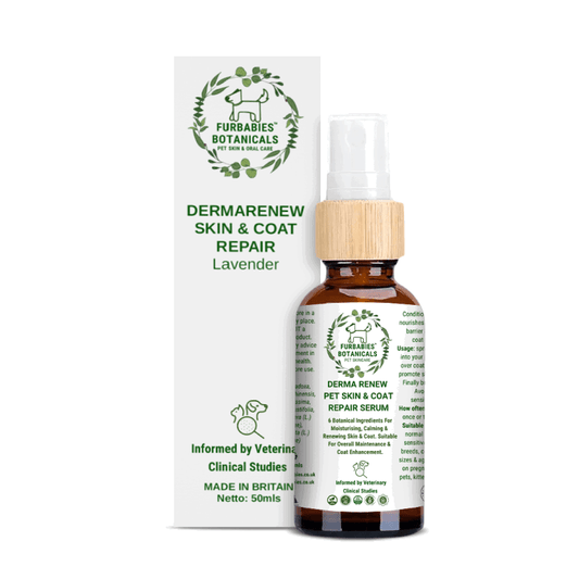LAVENDER DERMA RENEW SERUM FOR ITCHY & SMELLY PETS (50ml) - FurBabies™ Botanicals | Pet Skin Barrier Repair
