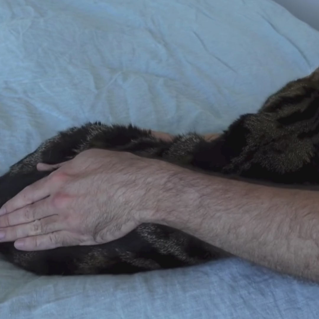 Load video: