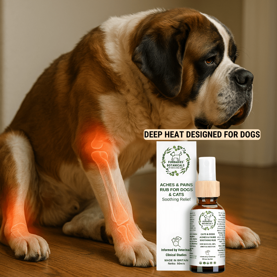 Deep Heat Topical Joint Pain Relief But Formulated For Dogs - FurBabies™ Botanicals