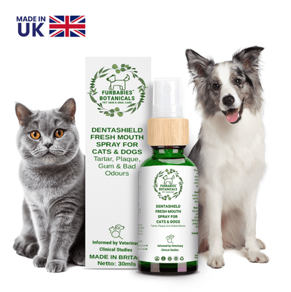 DENTASHIELD TEETH & GUMS ORAL SPRAY FOR CATS & DOGS - VETERINARY RESEARCH INFORMED PET SKIN & ORAL CARE