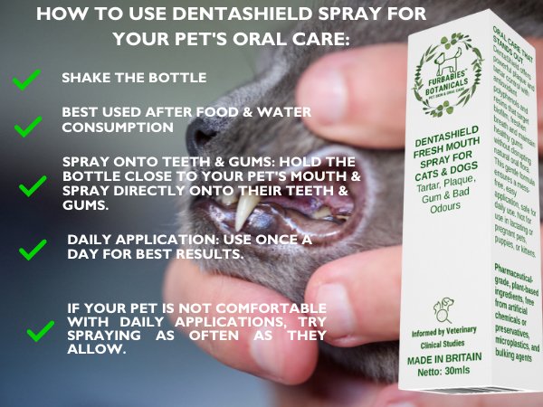 DENTASHIELD TEETH & GUMS ORAL SPRAY FOR CATS & DOGS - VETERINARY RESEARCH INFORMED PET SKIN & ORAL CARE