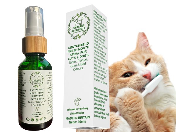 DENTASHIELD TEETH & GUMS ORAL SPRAY FOR CATS & DOGS - VETERINARY RESEARCH INFORMED PET SKIN & ORAL CARE