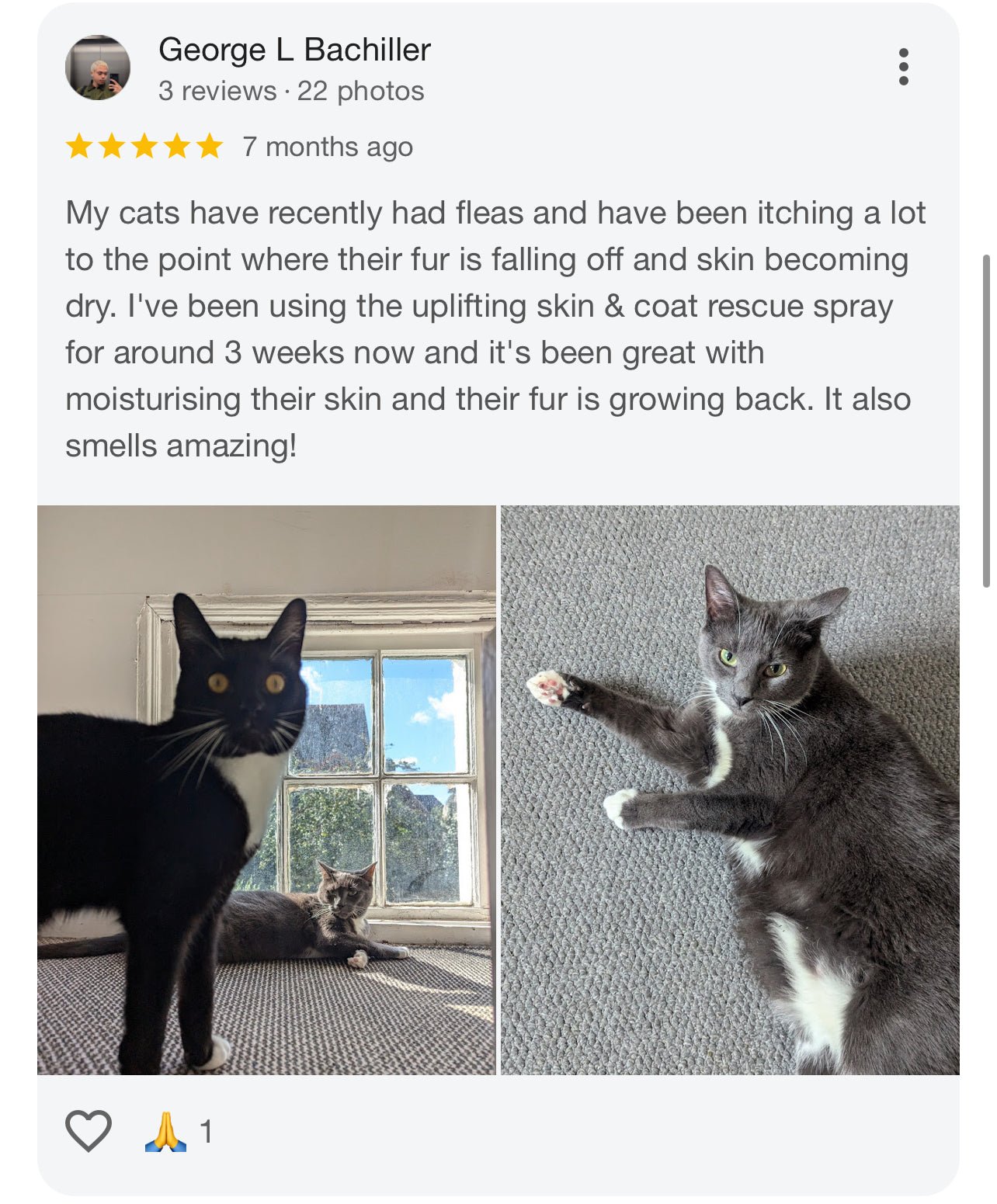 DERMAPROTECT ITCHY CAT, OVER GROOMING, BALD PATCHES, FLEA ALLERGY DERMATITIS, DANDRUFF SKIN REPAIR SERUM (50mls) - FurBabies™ Botanicals