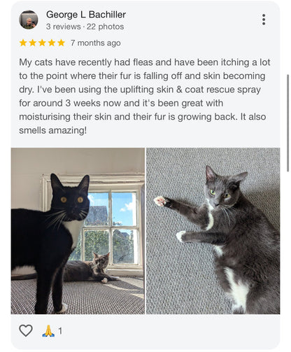 DERMAPROTECT ITCHY CAT, OVER GROOMING, BALD PATCHES, FLEA ALLERGY DERMATITIS, DANDRUFF SKIN REPAIR SERUM (50mls) - FurBabies™ Botanicals