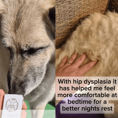 DOG & CAT JOINT & MUSCLE RELIEF RUB (50 ml) - FurBabies™ Botanicals