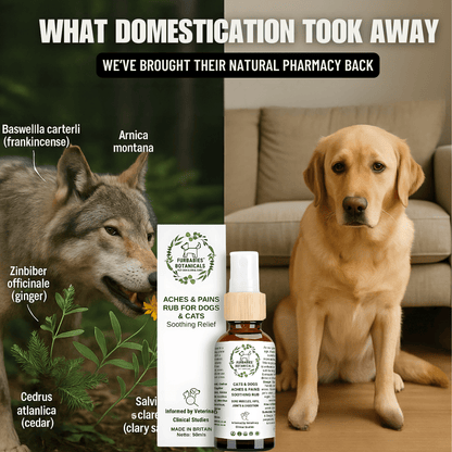 FAST - ACTING PAIN RELIEF RUB FOR DOGS WITH ARTHRITIS & HIP PAIN (50 ml) - FurBabies™ Botanicals