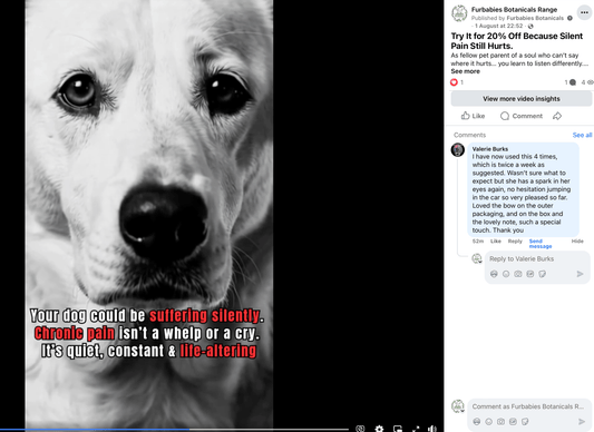 FAST - ACTING PAIN RELIEF RUB FOR DOGS WITH ARTHRITIS & HIP PAIN (50 ml) - FurBabies™ Botanicals