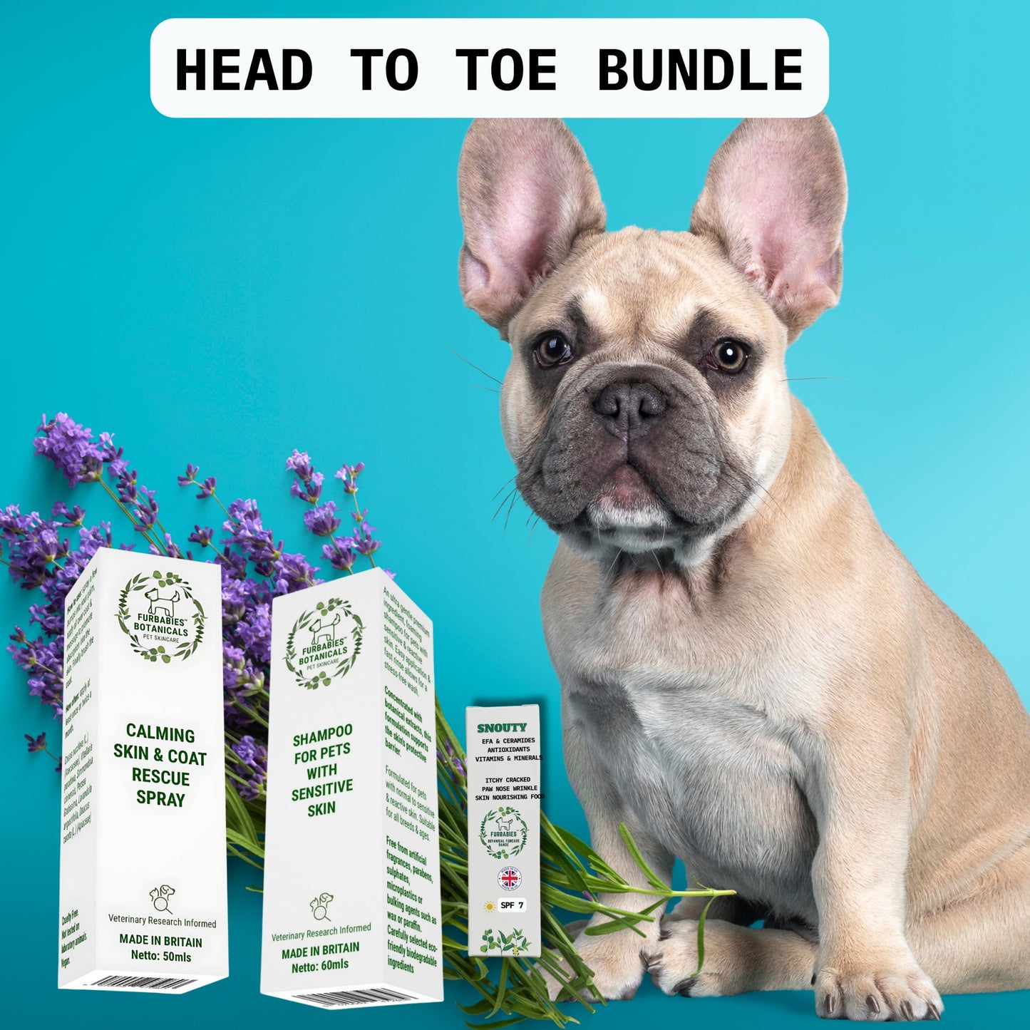 Lavender Bundle for Itchy Pets - PET SKINCARE FOR ITCH, PAW LICKING, TEAR STAINS & MORE