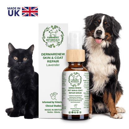 LAVENDER DERMA RENEW SERUM FOR ITCHY & SMELLY PETS (50ml) - VETERINARY RESEARCH INFORMED PET SKIN & ORAL CARE