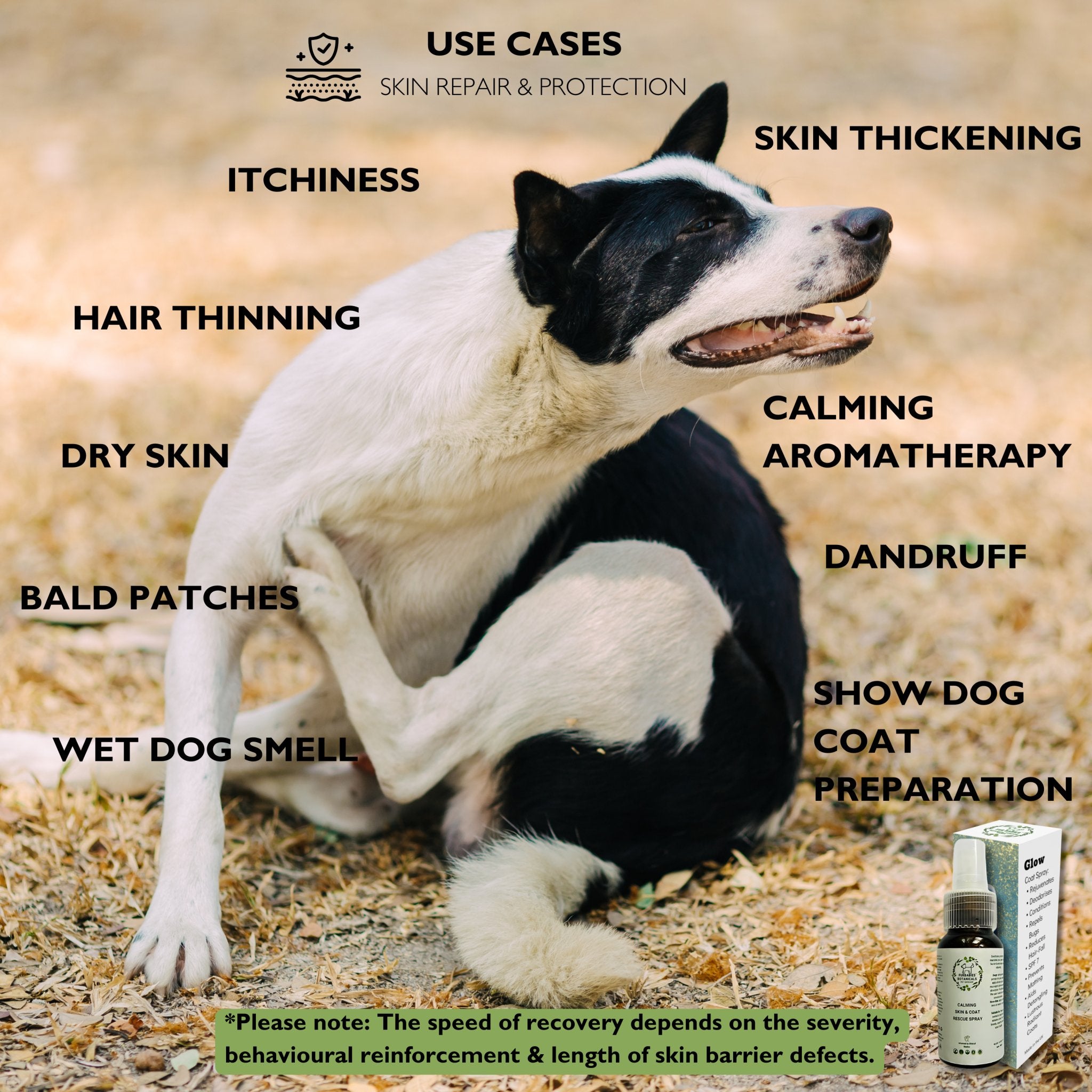 Skin Repair for Pets with Allergy Prone Skin PET SKINCARE FOR ITCH