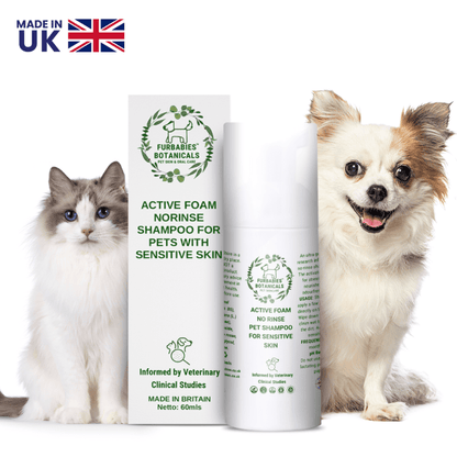 NO - RINSE SHAMPOO CONDITIONER for Short Haired Dogs, Cats, Rabbits & Hamsters with Sensitive Skin 120 foam pumps - VETERINARY RESEARCH INFORMED PET SKIN & ORAL CARE