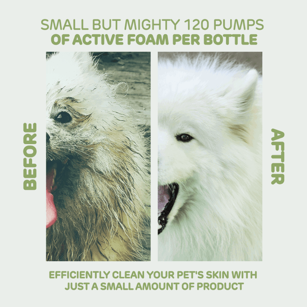 Rinse-Off Shampoo for Rabbit, Dog, Cat, Hamster & Guinea Pig (60ml ...