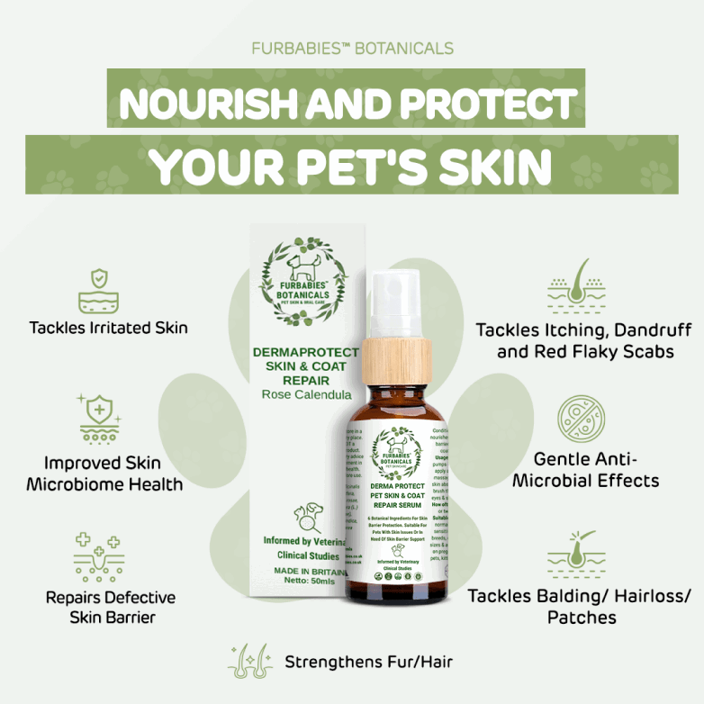 ROSE CALENDULA DERMAPROTECT SKIN REPAIR SERUM (50mls) - FurBabies™ Botanicals | Pet Skin Barrier Repair