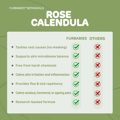 ROSE CALENDULA DERMAPROTECT SKIN REPAIR SERUM (50mls) - FurBabies™ Botanicals | Pet Skin Barrier Repair